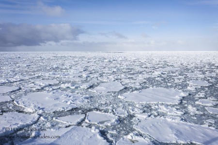 Banquise en mer de Ross, Antarctique